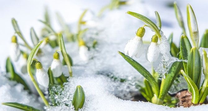 В марте украинцам пообещали "мягкие" условия: какой будет погода в первый месяц весны