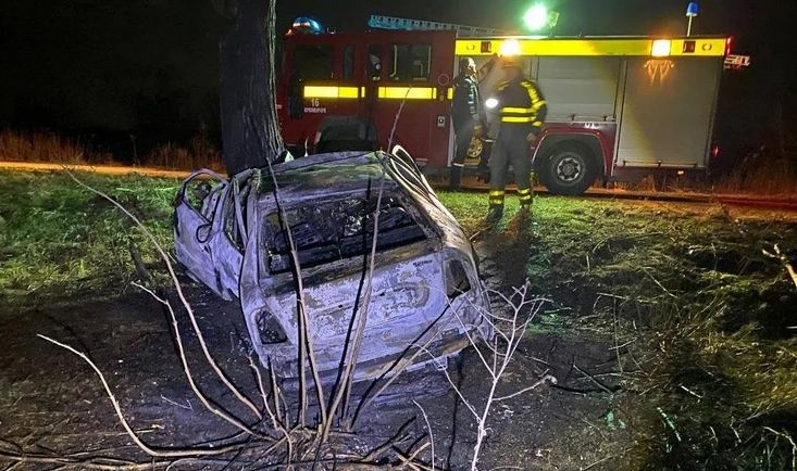 ДТП в Полтавской области: авто врезалось в дерево и загорелось, погибли трое