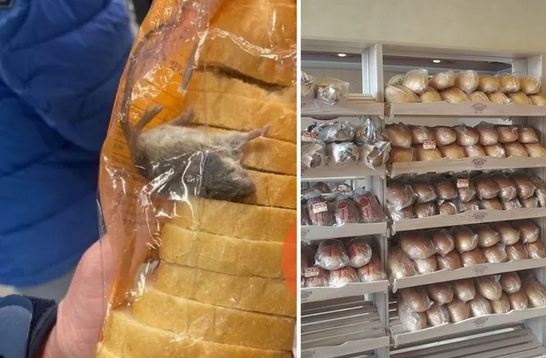 В Киеве провели инспекцию магазина, где нашли мертвую мышь в упаковке с хлебом