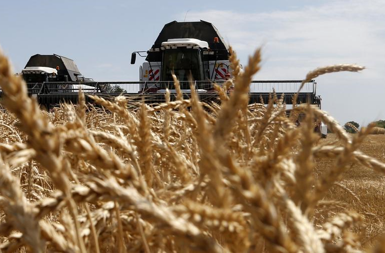 Дефицит продовольствия: грозит ли Украине нехватка продуктов