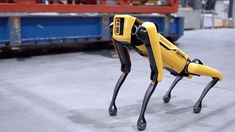 В Киеве кто-то "выгулял" робота-собаку от Boston Dynamics