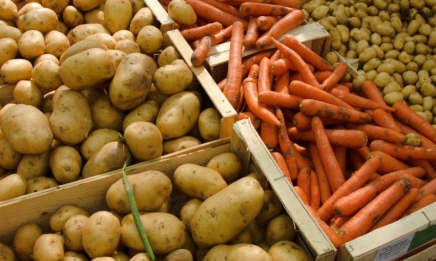 В Україні очікується дефіцит деяких овочів: що може зникнути з прилавків