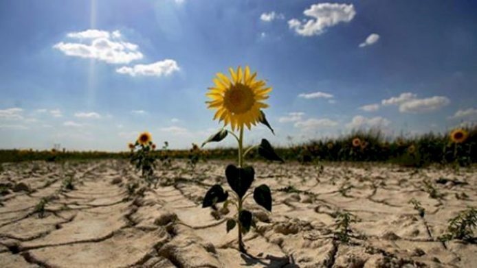 Изменение климата: украинцев ждет уже другое лето - Кульбида