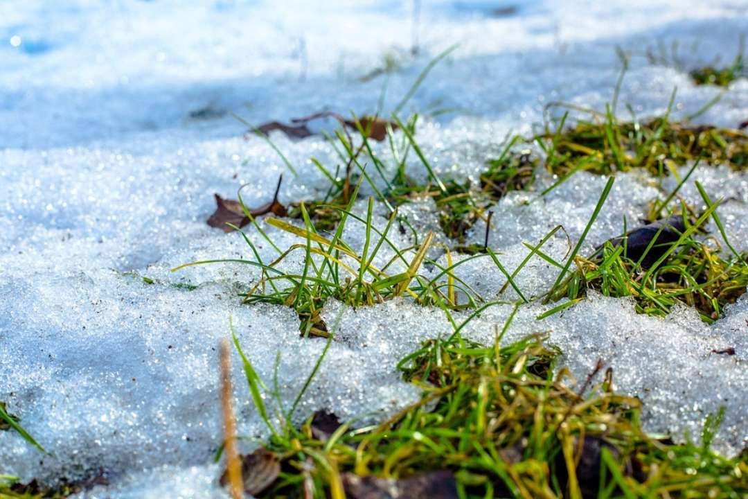 Морози вночі та без опадів: озвучено свіжий прогноз погоди