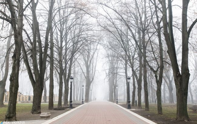 Без опадів, але подекуди туман: синоптики розповіли про погоду на завтра