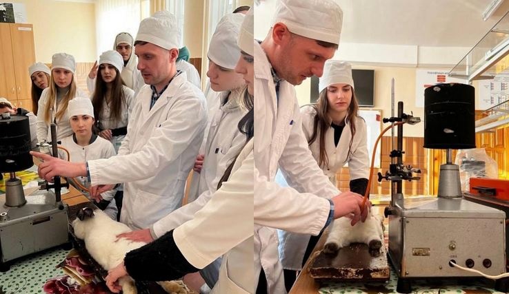 Зоозащитники обвинили преподавателя киевского университета в пытках животных на занятиях