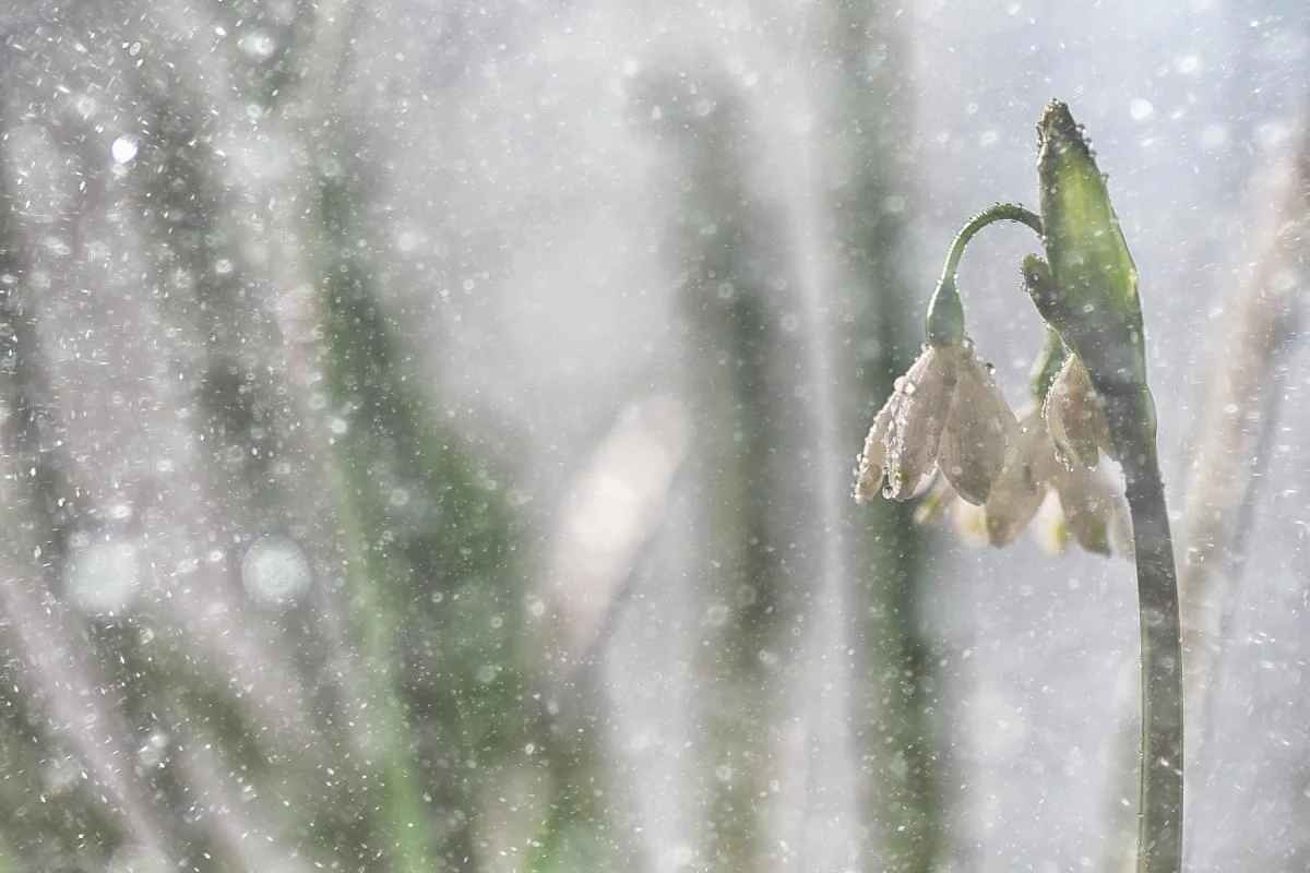 Дощі, сніг та заморозки: синоптик засмутив прогнозом погоди на квітень
