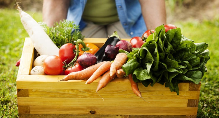 Стоимость овощей: что будет с ценами в этом году