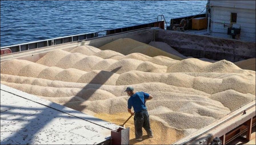 Польша приостанавливает импорт зерна из Украины минимум до июля