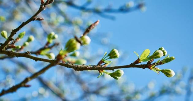 Ще треба потерпіти: синоптики розповіли, коли чекати на потепління