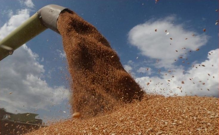 Запрет на экспорт зерна из Украины: Евросоюз обсудит, как решить проблему