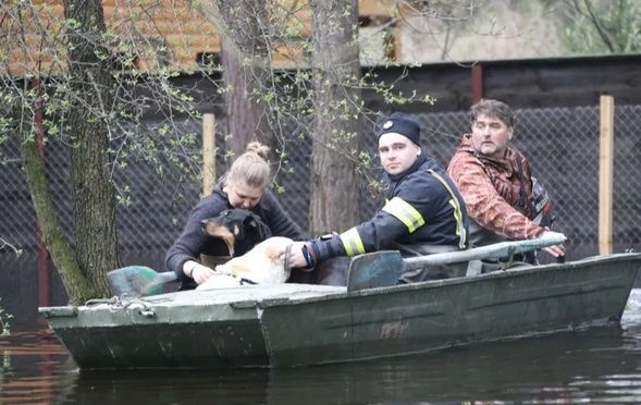 Затопленный Киев: жители столицы развлекаются как могут