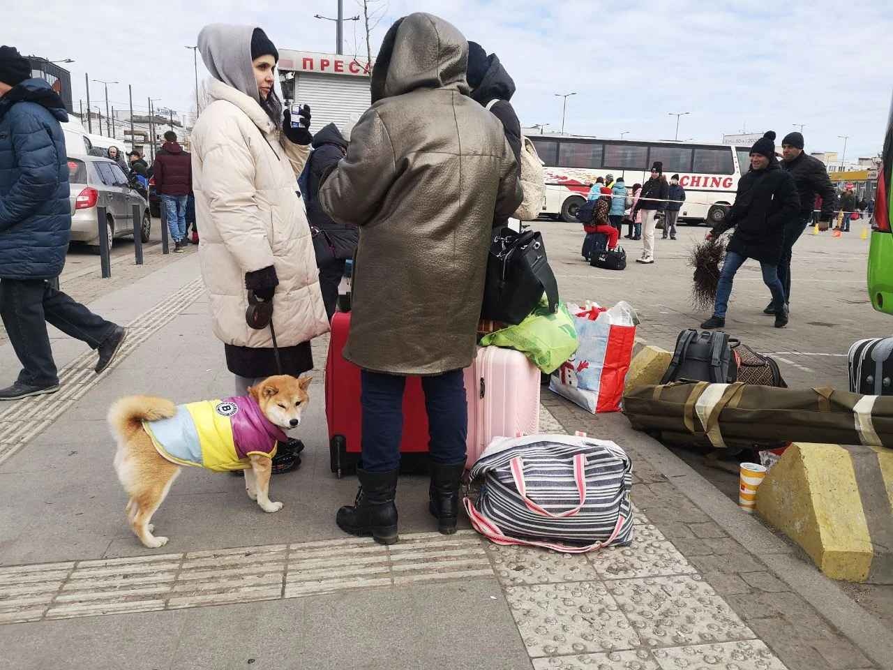 Украинские беженцы рассказали о плюсах и минусах жизни в Германии: стоит ли выезжать