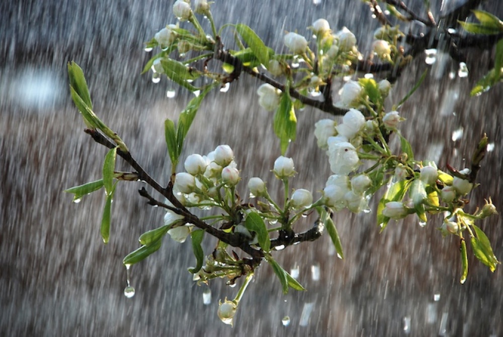 Дожди, грозы, но тепло: синоптики дали прогноз погоды на завтра