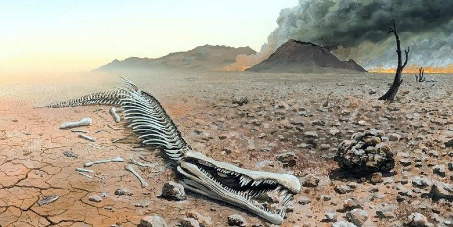 Масштабное шестое вымирание: на Земле начался процесс, который оказался страшнее, чем считали ученые