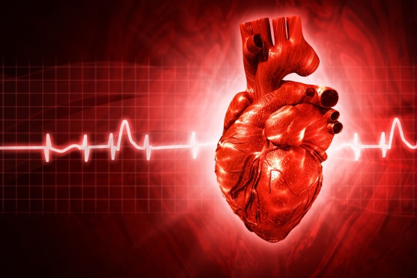 Ученые выявили распространенную привычку, ухудшающую работу сердца