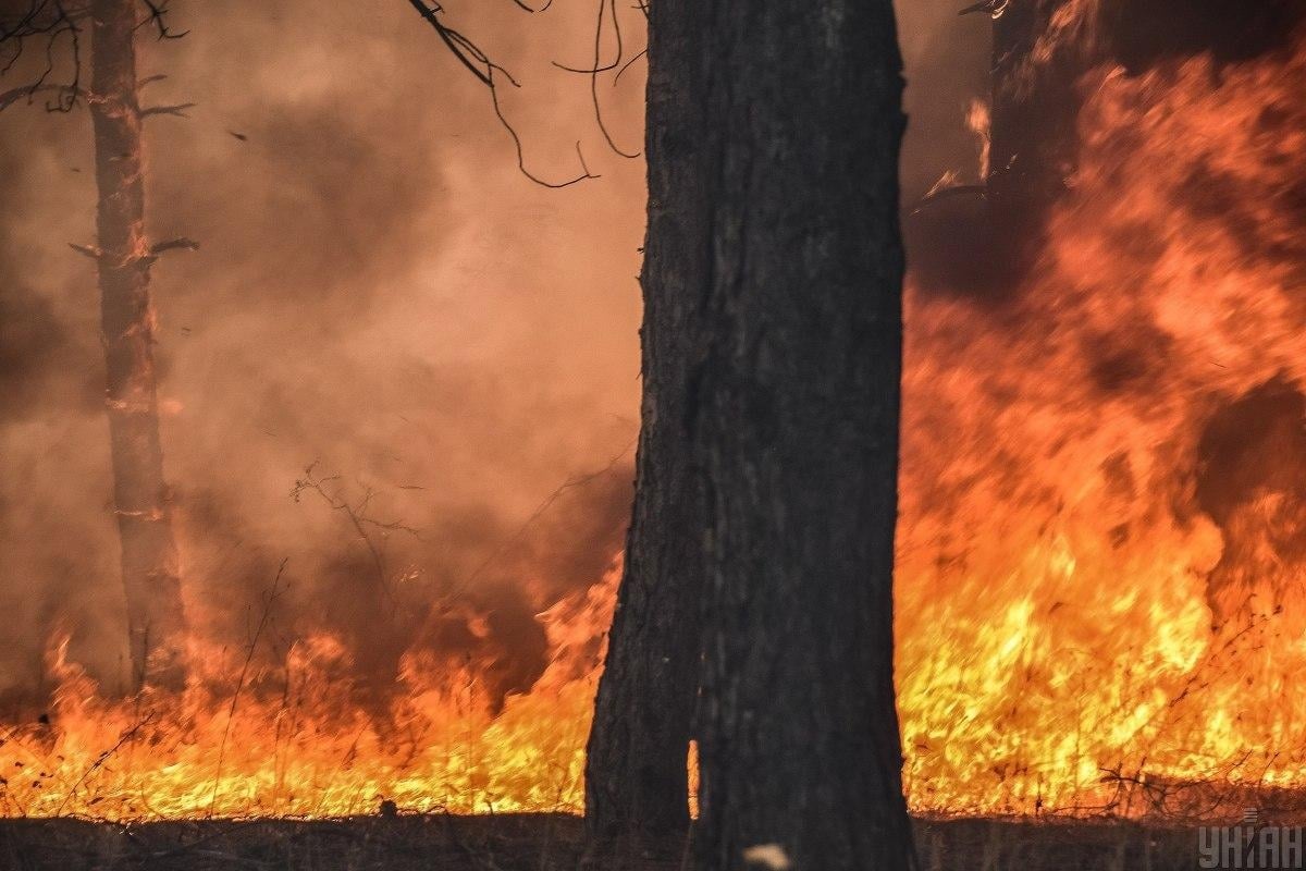 Укргідрометцентр назвав регіони, де можливі лісові пожежі