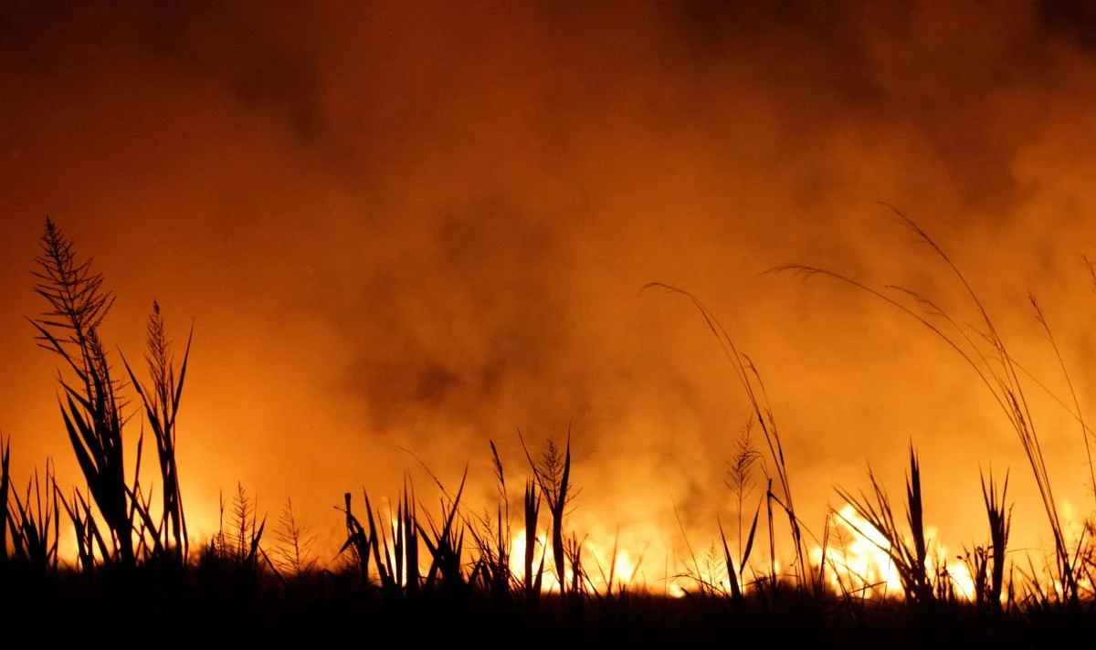 Во многих областях Украины объявили чрезвычайный уровень пожарной опасности
