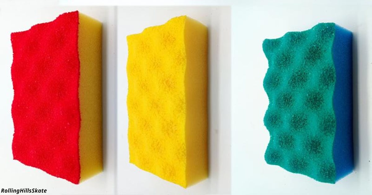 Почему губки для мытья посуды разного цвета: интересный факт