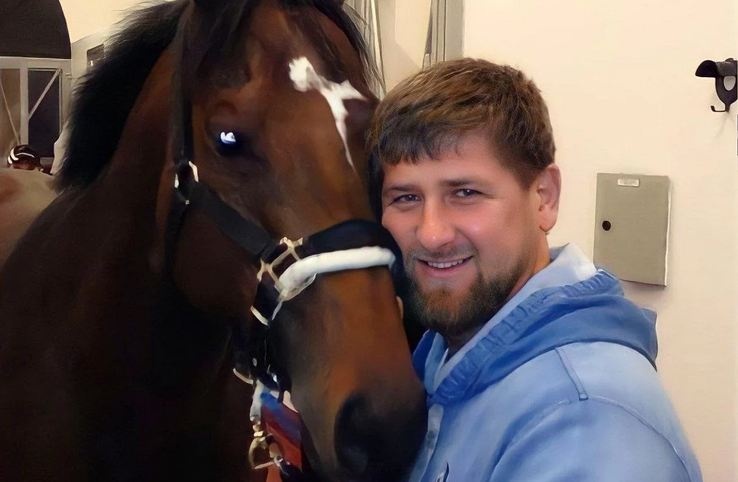Украденный конь вернется к Кадырову: при чем здесь украинские спецслужбы
