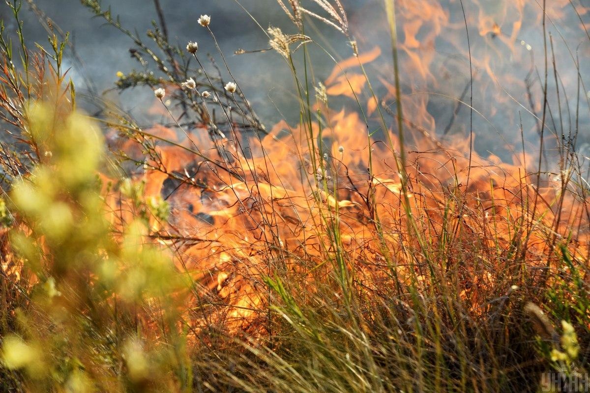 В Украине объявили чрезвычайный уровень опасности: в каких регионах высока вероятность лесных пожаров