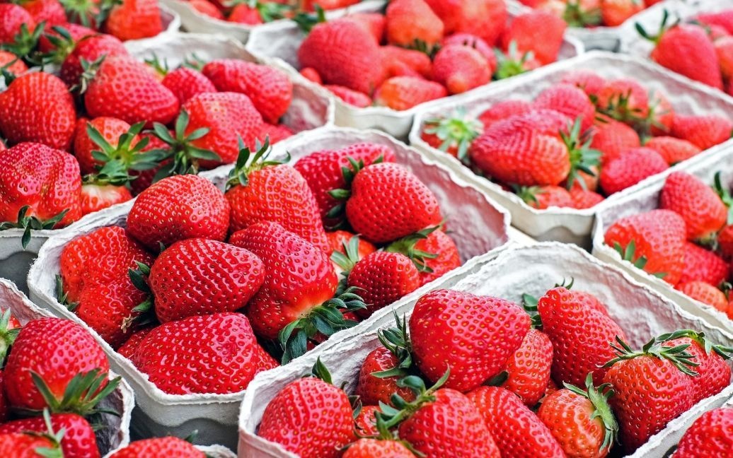 В Украине стартовал сезон клубники из открытого грунта: сколько стоят ягоды