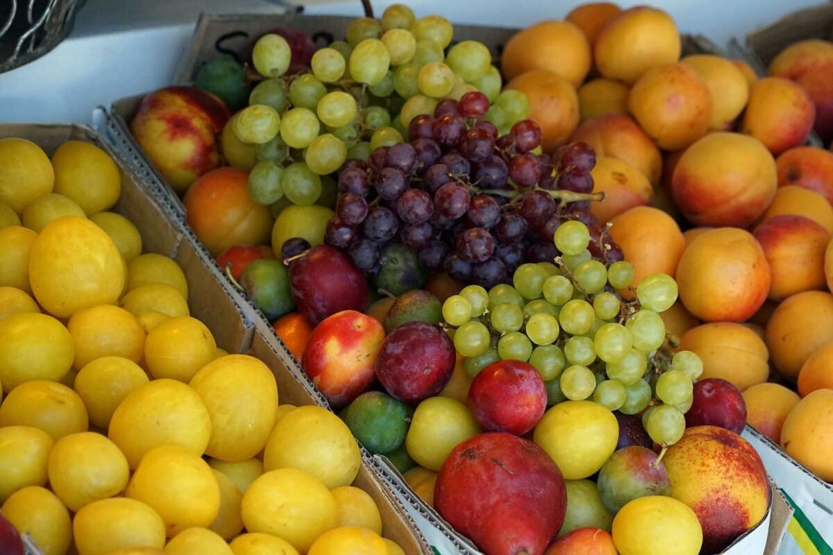 Ринок ягід та фруктів у 2023 році: якими будуть ціни
