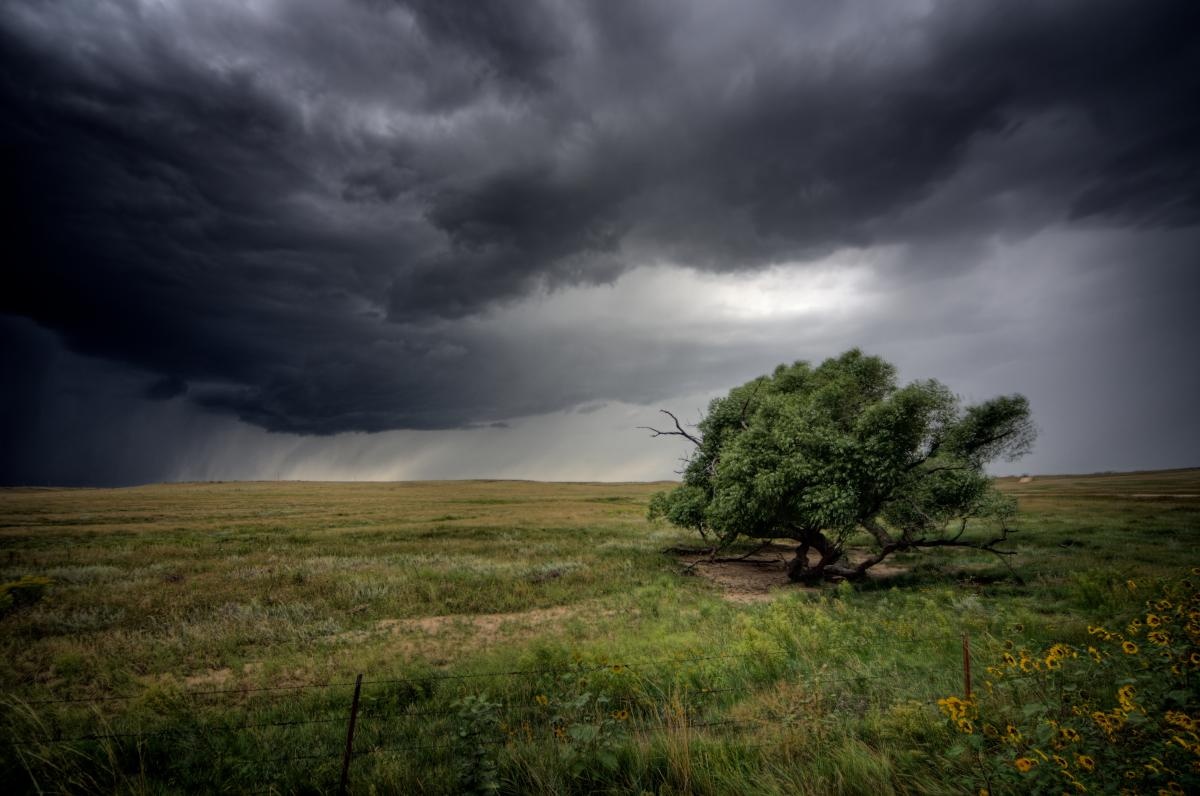 В Україні оголосили штормове попередження: які області можуть постраждати