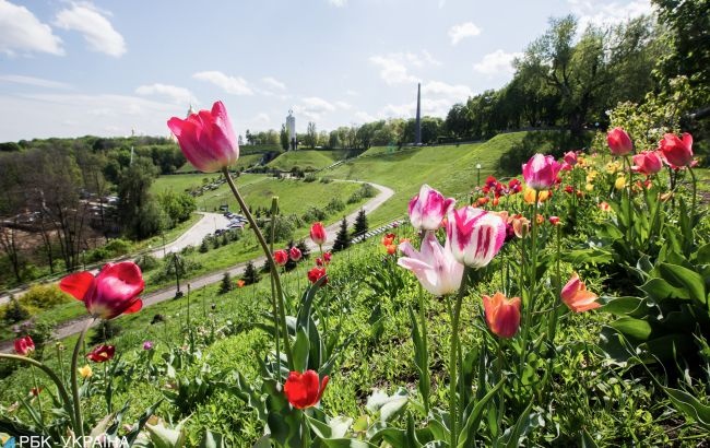 Нынешняя весна в Киеве стала одной из самых теплых в истории