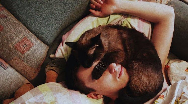 Чому коти люблять спати на чистій білизні: 4 причини
