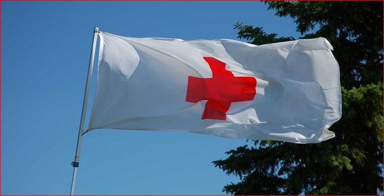 Можно получить 16 тыс. грн от Красного Креста: как украинцу подать заявку