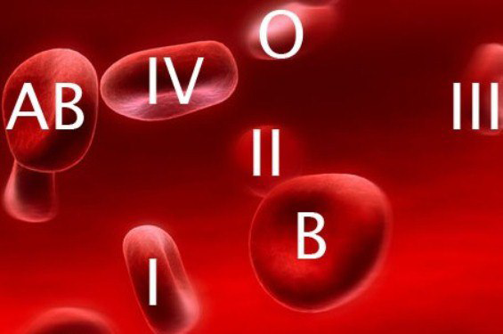Исследование показало, люди с какой группой крови живут дольше