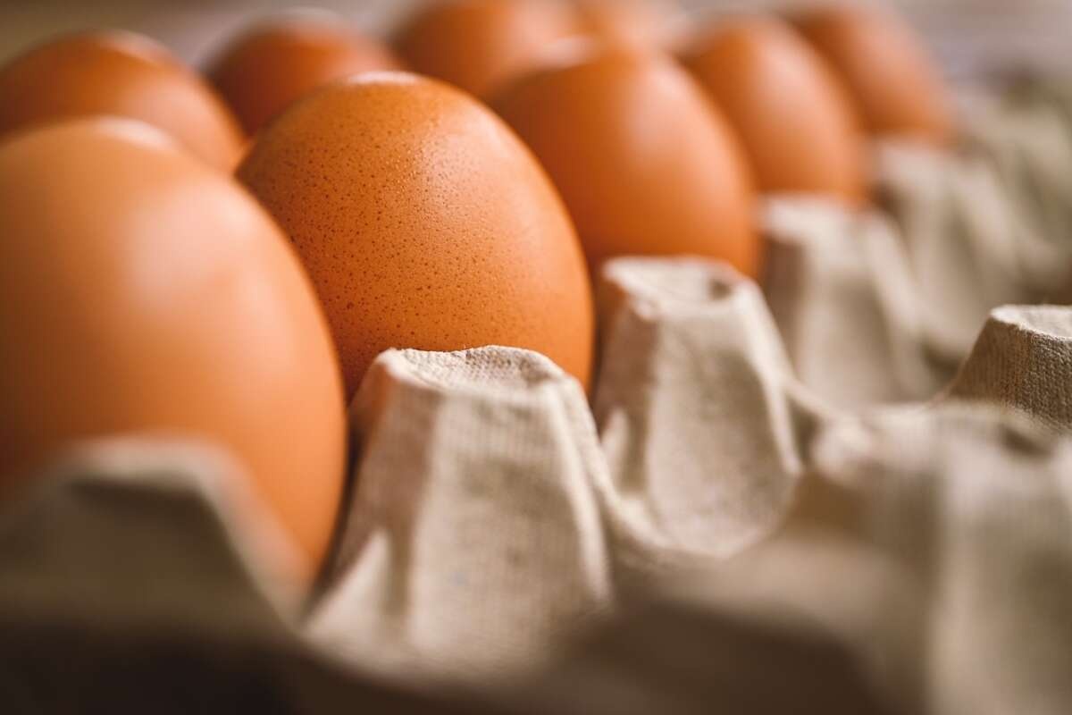Снижение цен на яйца в мае: сколько сегодня стоит продукт
