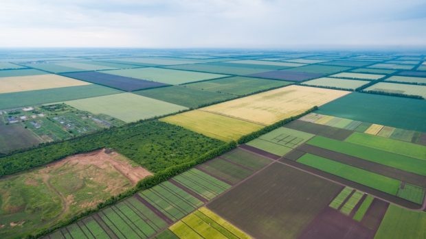 Ринок землі в Україні: як змінилися ціни у 2023 році