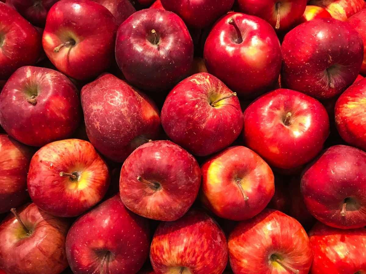 В Україні назріває дефіцит яблук: що буде з цінами