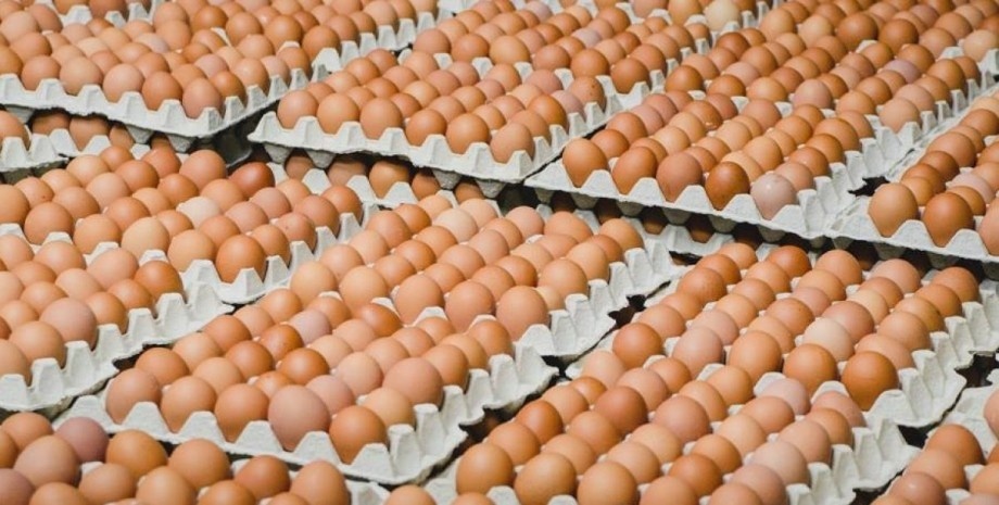 В Украине почти завершилось сезонное снижение цен на яйца
