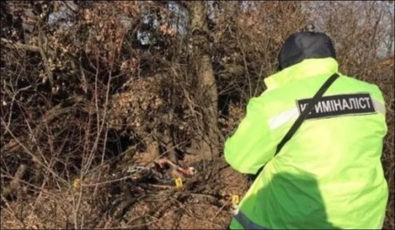 У лісосмузі на Київщині виявлено тіло неповнолітньої дівчини