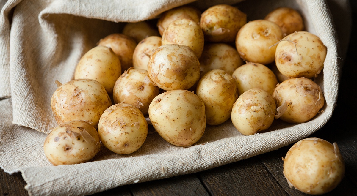 Ціни на картоплю нового врожаю впали: скільки коштують коренеплоди