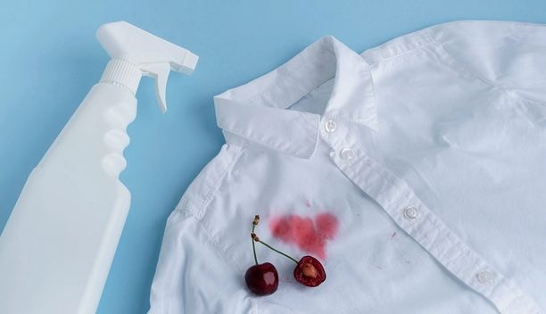 Чем отмыть одежду от ягод: назван 100%-способ