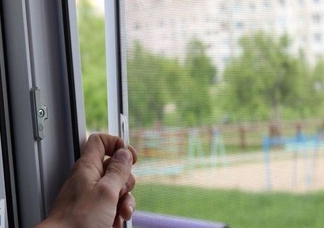 Забиваються брудом та комахами: як почистити москітні сітки на вікнах
