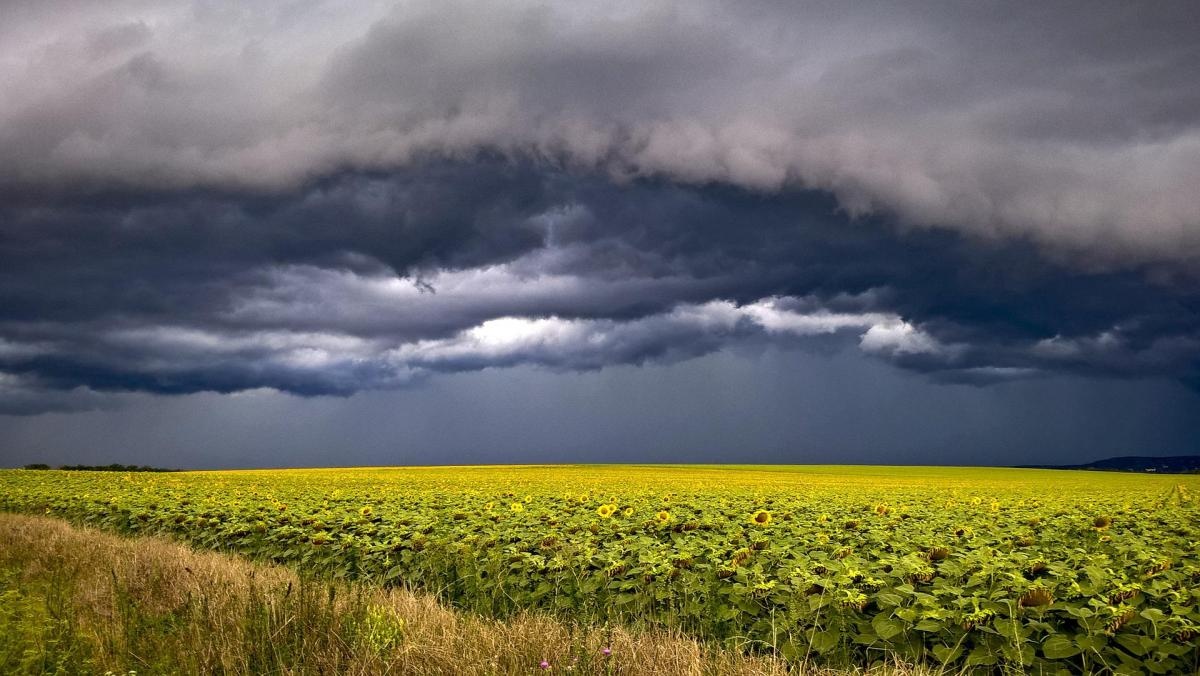 В Украине объявили штормовое предупреждение: в каких регионах введен I уровень опасности