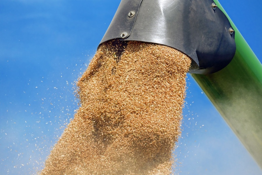 Закрытие зернового коридора: мировые цены на пшеницу уже выросли на 11%