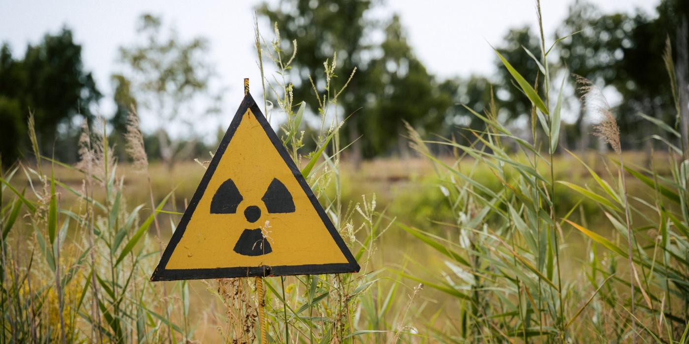 Угроза распространения радиации: как позаботиться о домашних питомцах