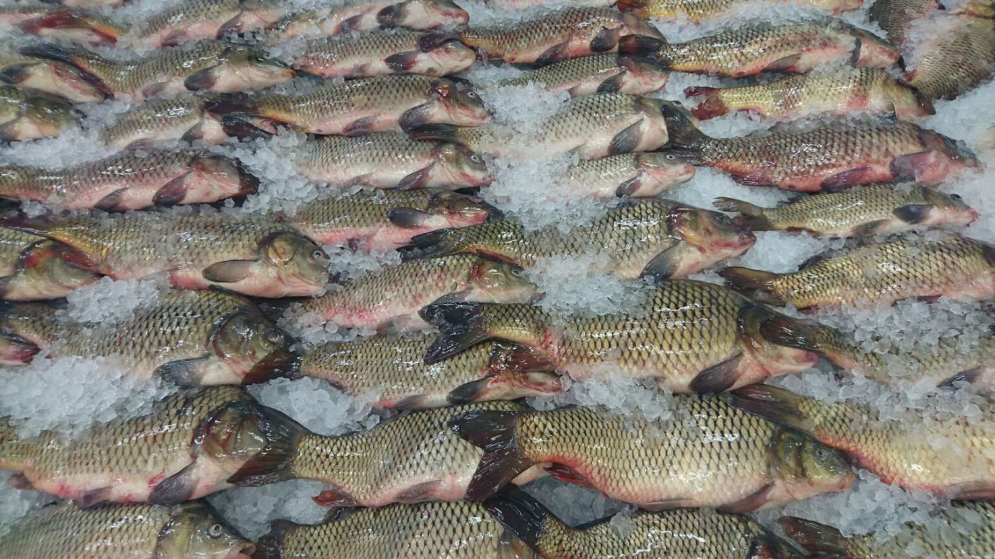 Уничтожения Каховского водохранилища: как сильно повысятся цены на рыбу