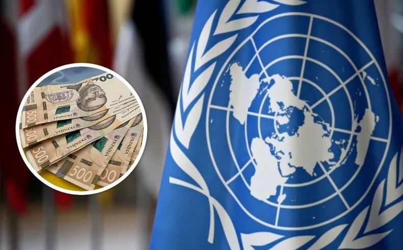 Выплаты от ООН: кому из украинцев положена финансовая помощь