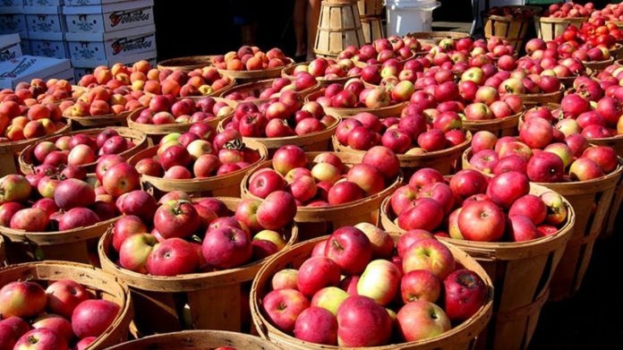 Цены на яблоки в Украине установили абсолютный рекорд