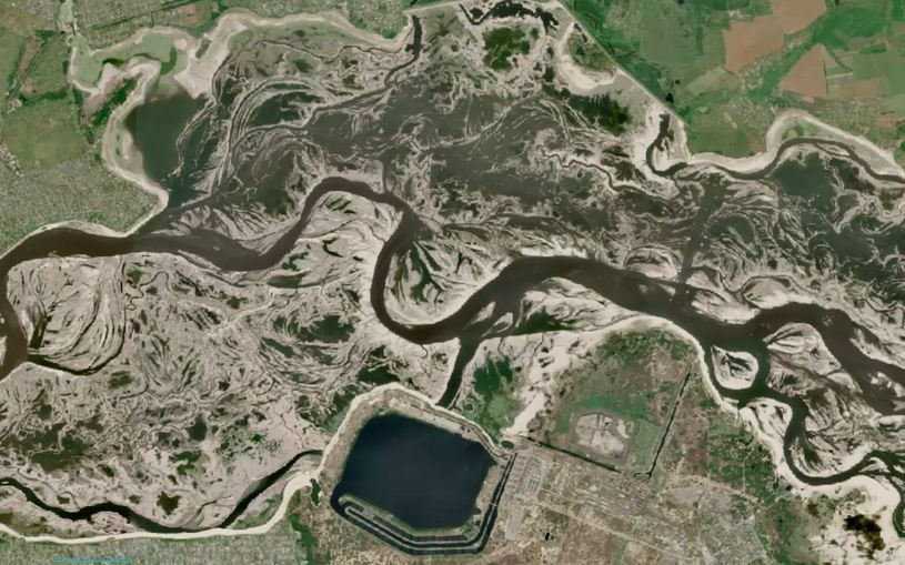 Около 3500 га высушенного дна Каховского водохранилища засеяли клевером