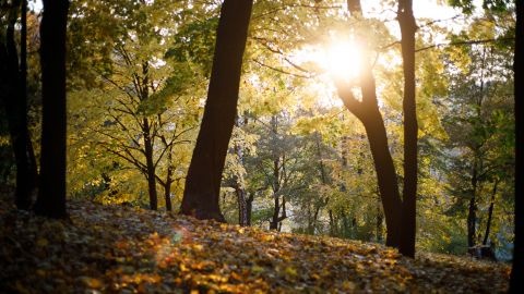 Температура підніметься, а опади не очікуються: прогноз погоди на сьогодні