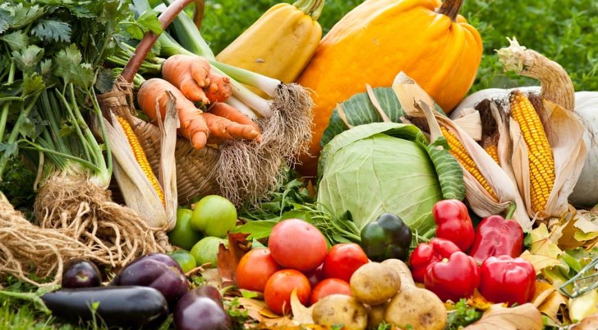 Цены на овощи пошли вверх: что ждет покупателей осенью