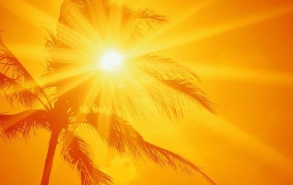 Земля пережила самое жаркое лето за всю историю наблюдений